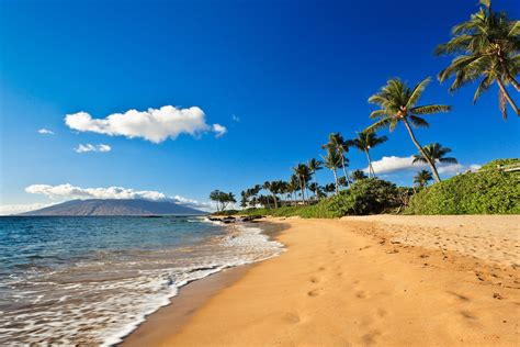 Maui travel. Things To Know About Maui travel. 
